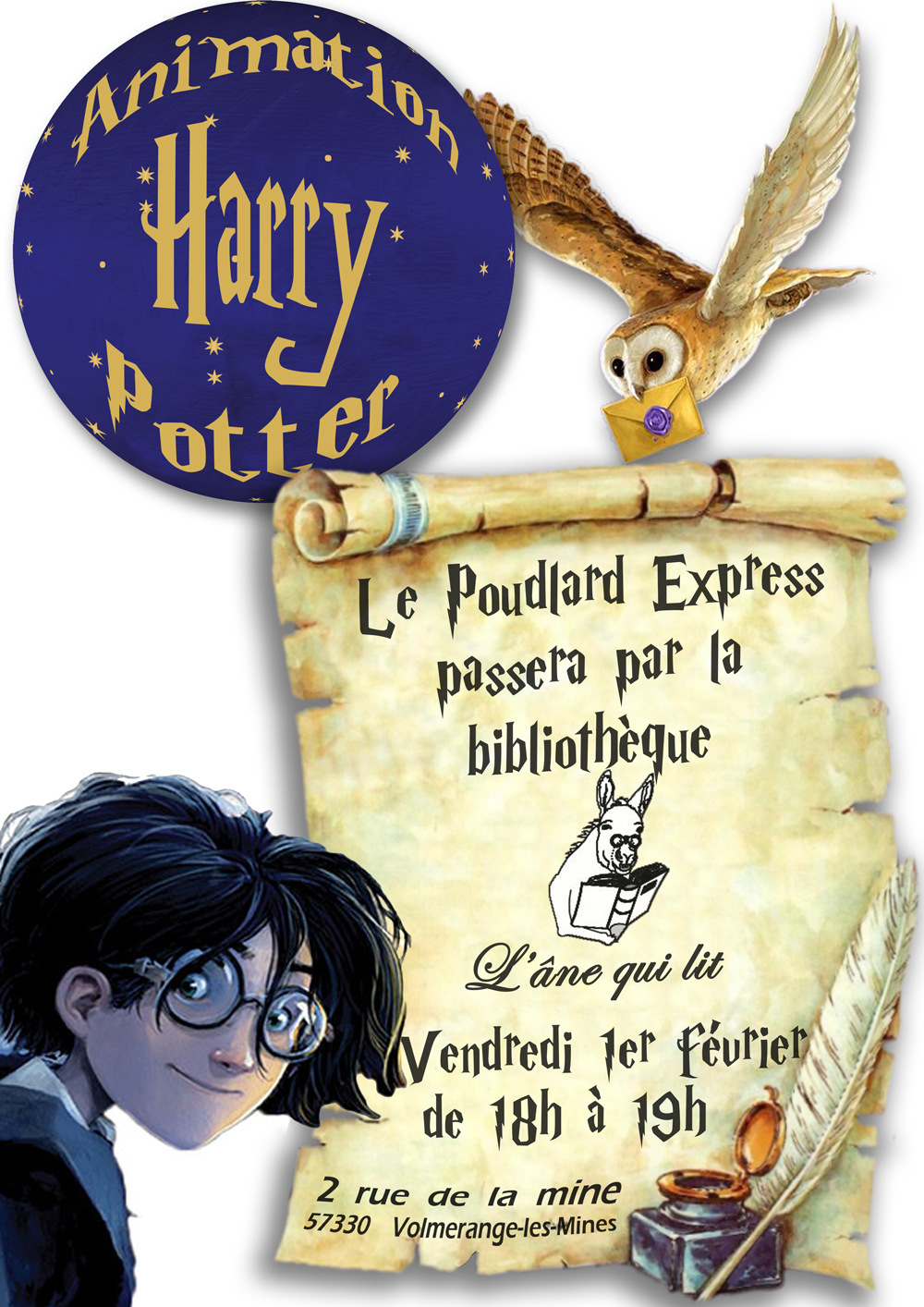 Animation Harry Potter à la bibliothèque
