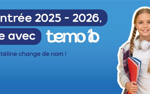 Lignes Temo