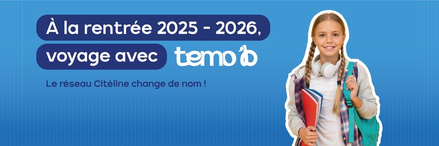 Lignes Temo