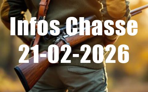 Infos Chasse