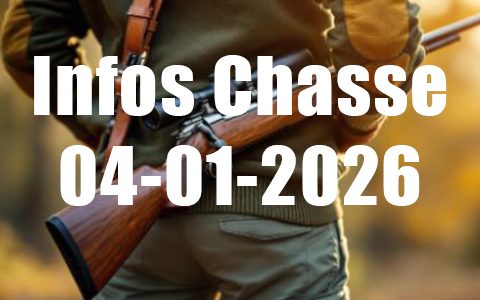 Infos Chasse