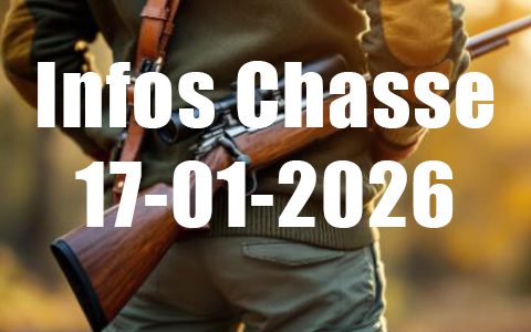 Infos Chasse