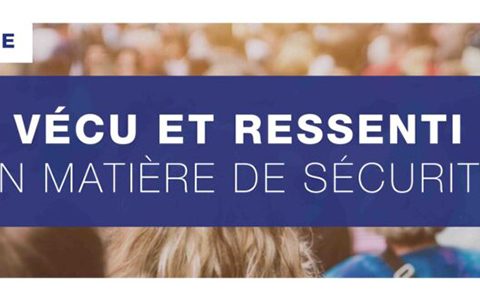 Enquête statistique sur le vécu et le ressenti en matière de sécurité (VRS)
